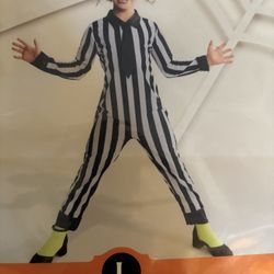 Bettlejuice (L) Halloween Costume 