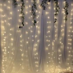 Backdrop