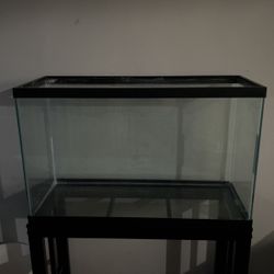 Fish Tank 30 Gallon