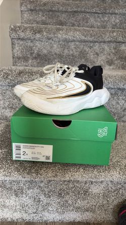 Nike Giannis Immortality 4 GS Sneakers Size 2Y