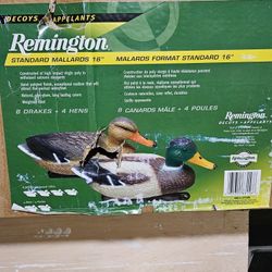 Decoys - Ducks