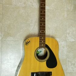 Acoustic guitar