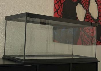 20 gallon tank, perfect condition
