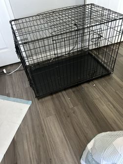 For Dog