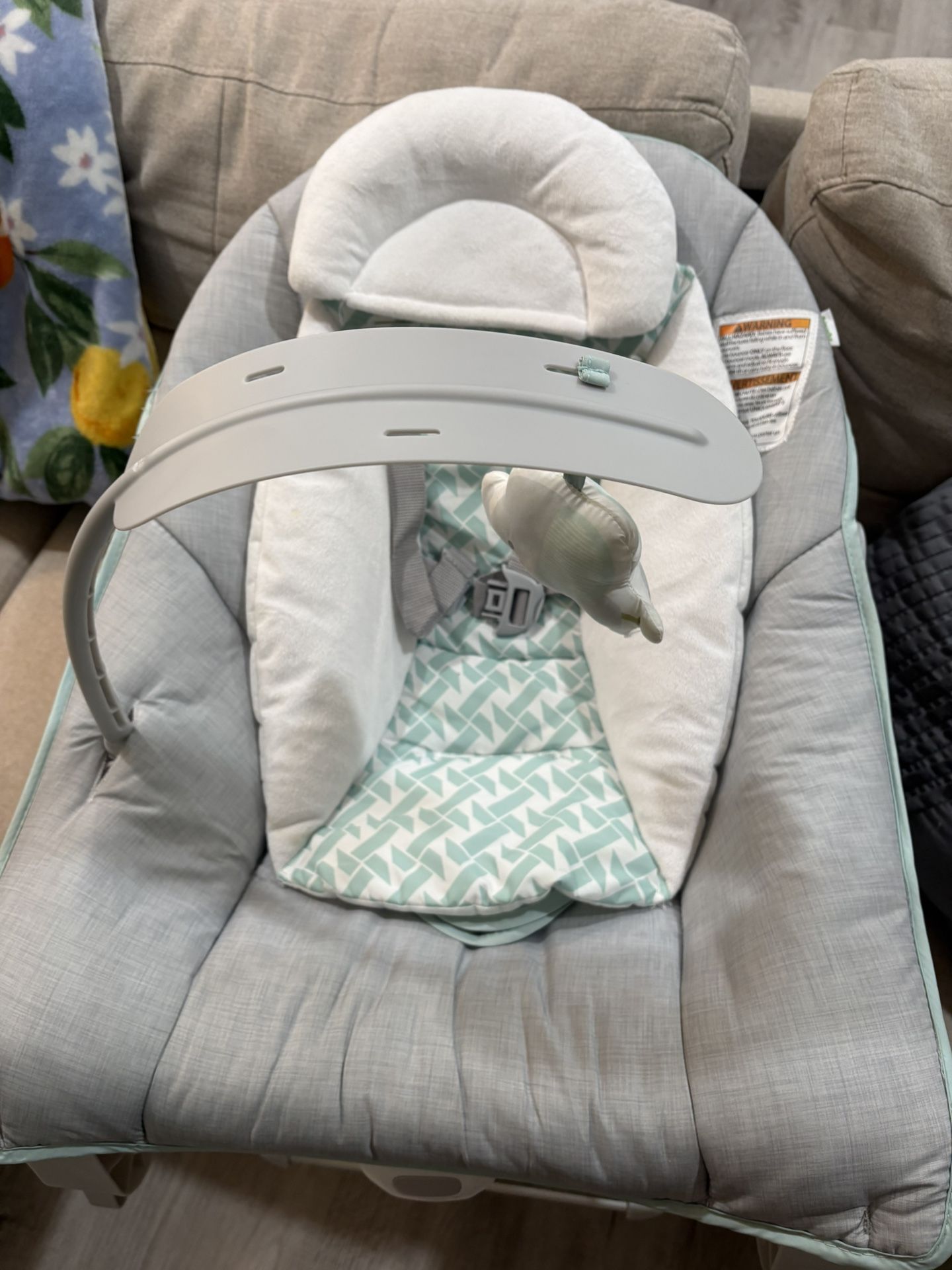 Baby Bouncer