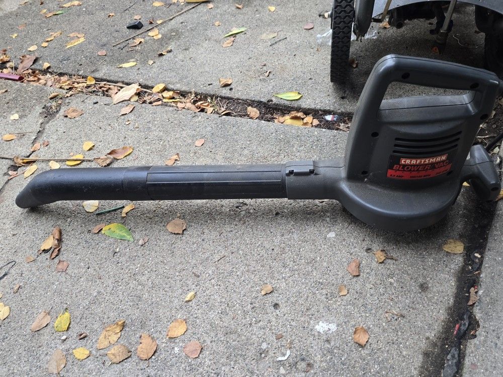 Leaf Blower Electric