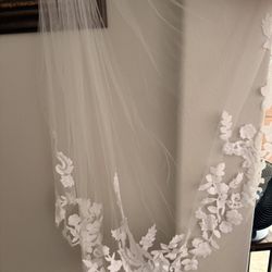 Brides Veil 