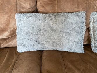 Cute Pillow Set of 2