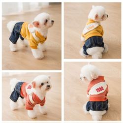 Pet Autumn and Winter Clothes 