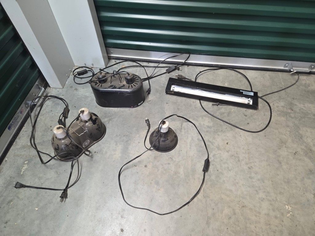 Reptile Lamps And Accessories