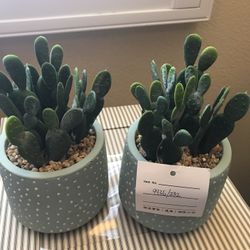 OU06005 Two Artificial Succulents In Ceramic