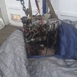 Free Motor