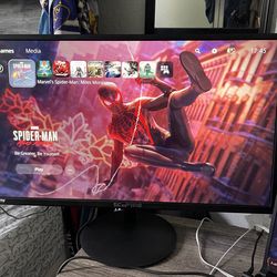 Sceptre E225W-19203R 22in.  1080P LED Monitor  - Metallic Black