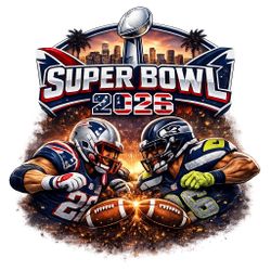 Súper Bowl T Shirts