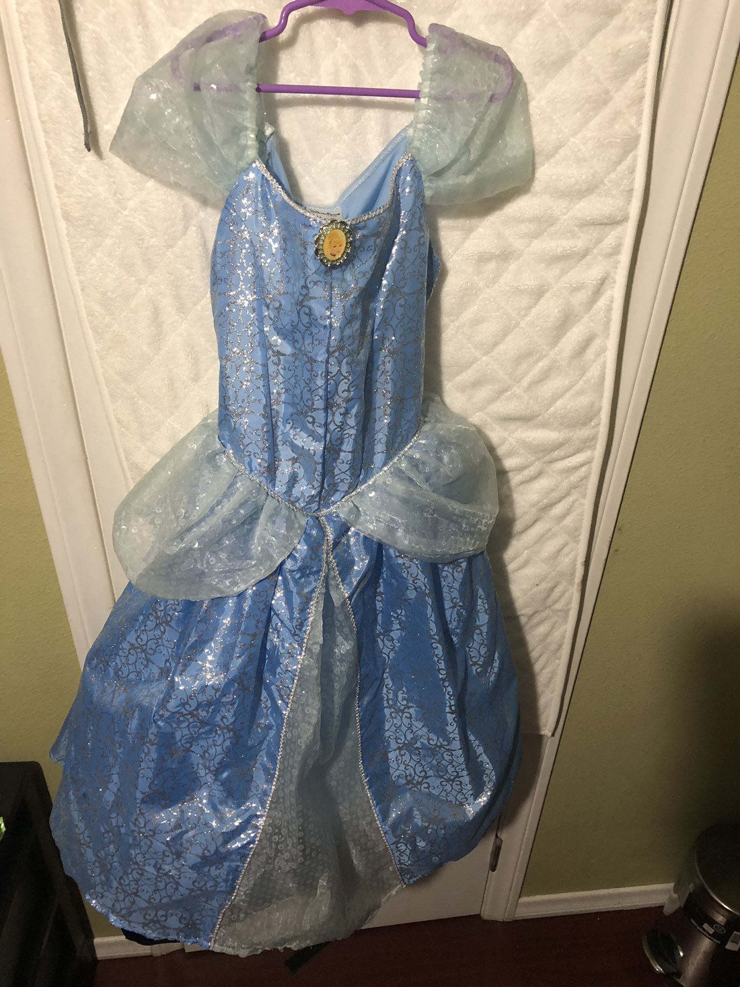 Cinderella Disney Princess Halloween Costume