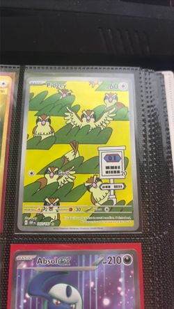 Pidgey illustration rare