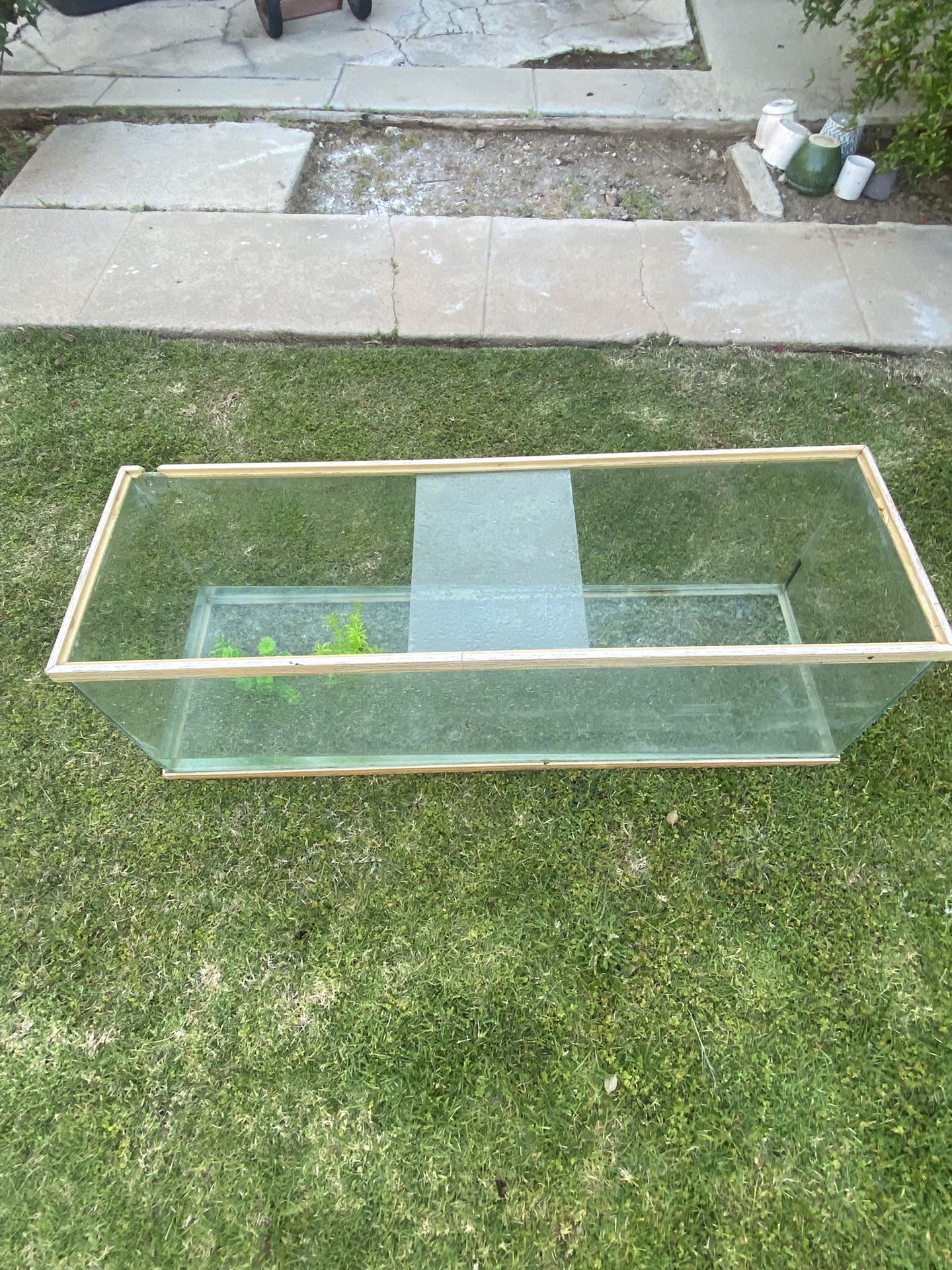 40 Gallon Turtle Tank For Sale $75 (Cash Only)