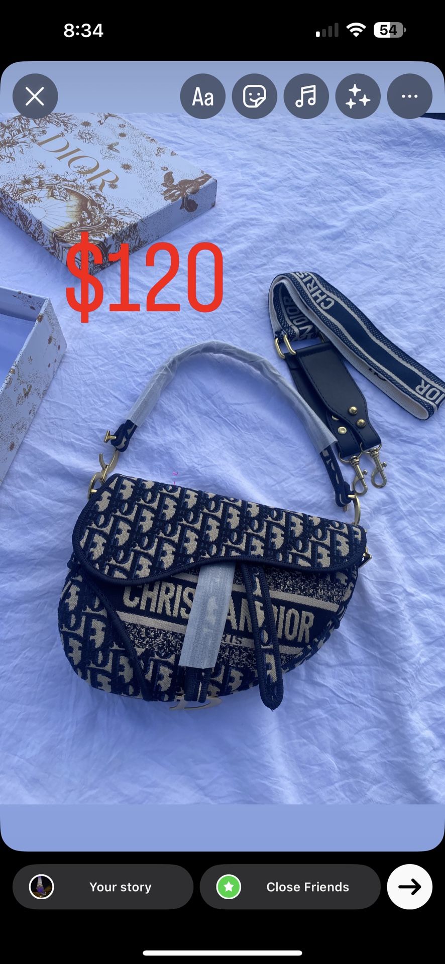 Dior Saddle Bag