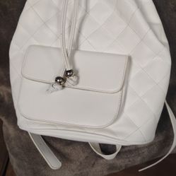 Small Backpack Or Purse