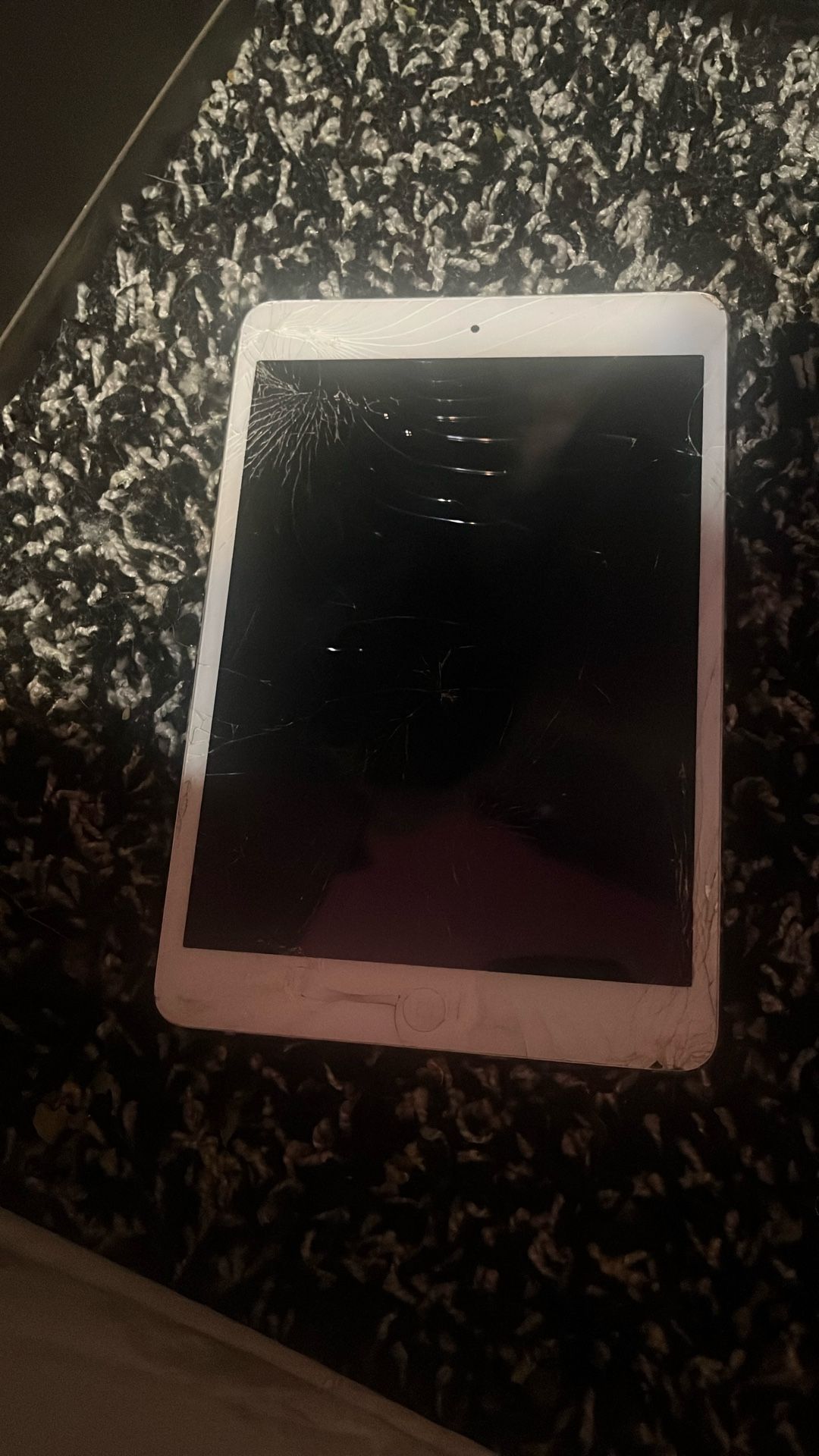 iPad 4th gen