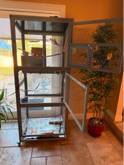 Bird cage with 2 parakeets