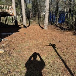 Leaf/pinestraw Cleanup & Mulch