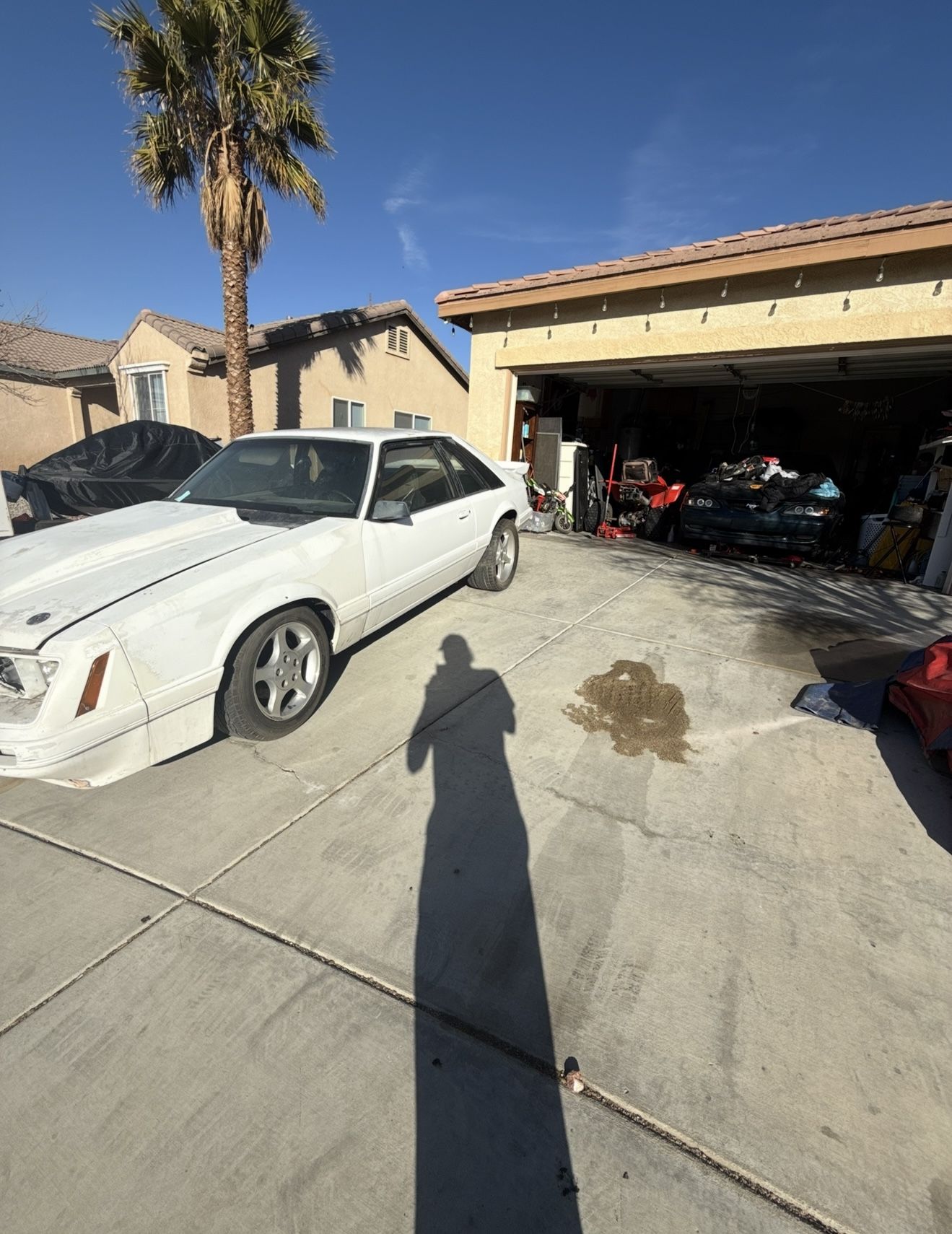 1986 Ford Mustang