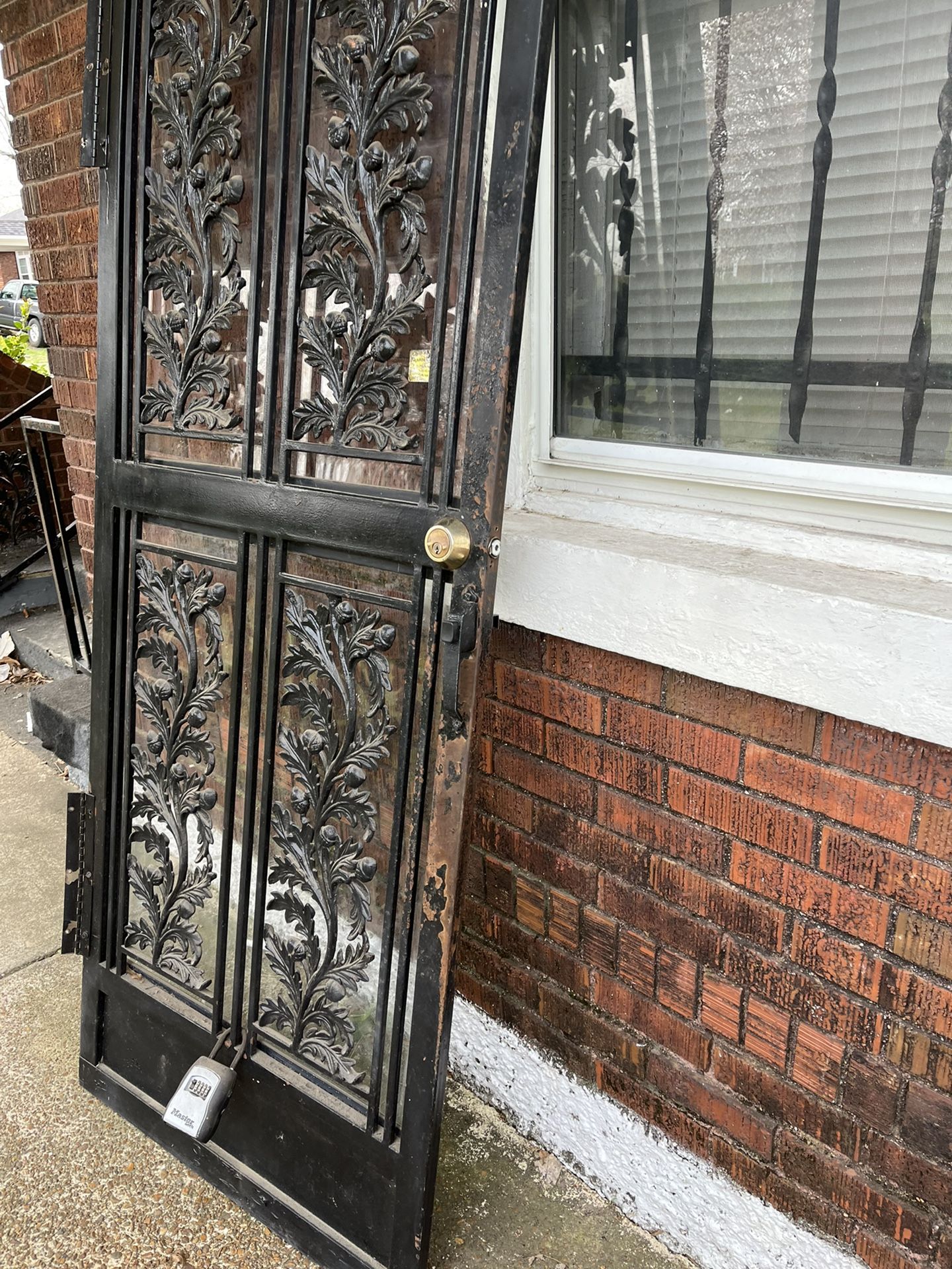 Storm Door