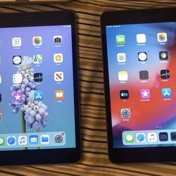 2 iPad Mini 2 iOS 12.5