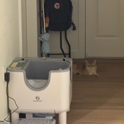 Automatically Cat Litter Box