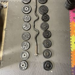 Weight Plates.   / Curl Bar.         80 Dollars 