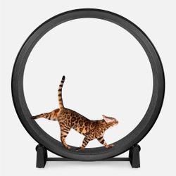 Like New One Fast Cat Wheel