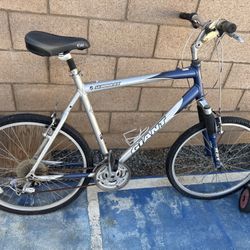 Giant Bike 