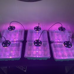 Seed Starter Trays with Grow Lights comes with 6 ,12 pod trays with Timing Controller and Adjustable Brightness and Humidity Domes