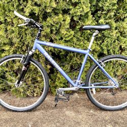 XL Raleigh Mtn Bike
