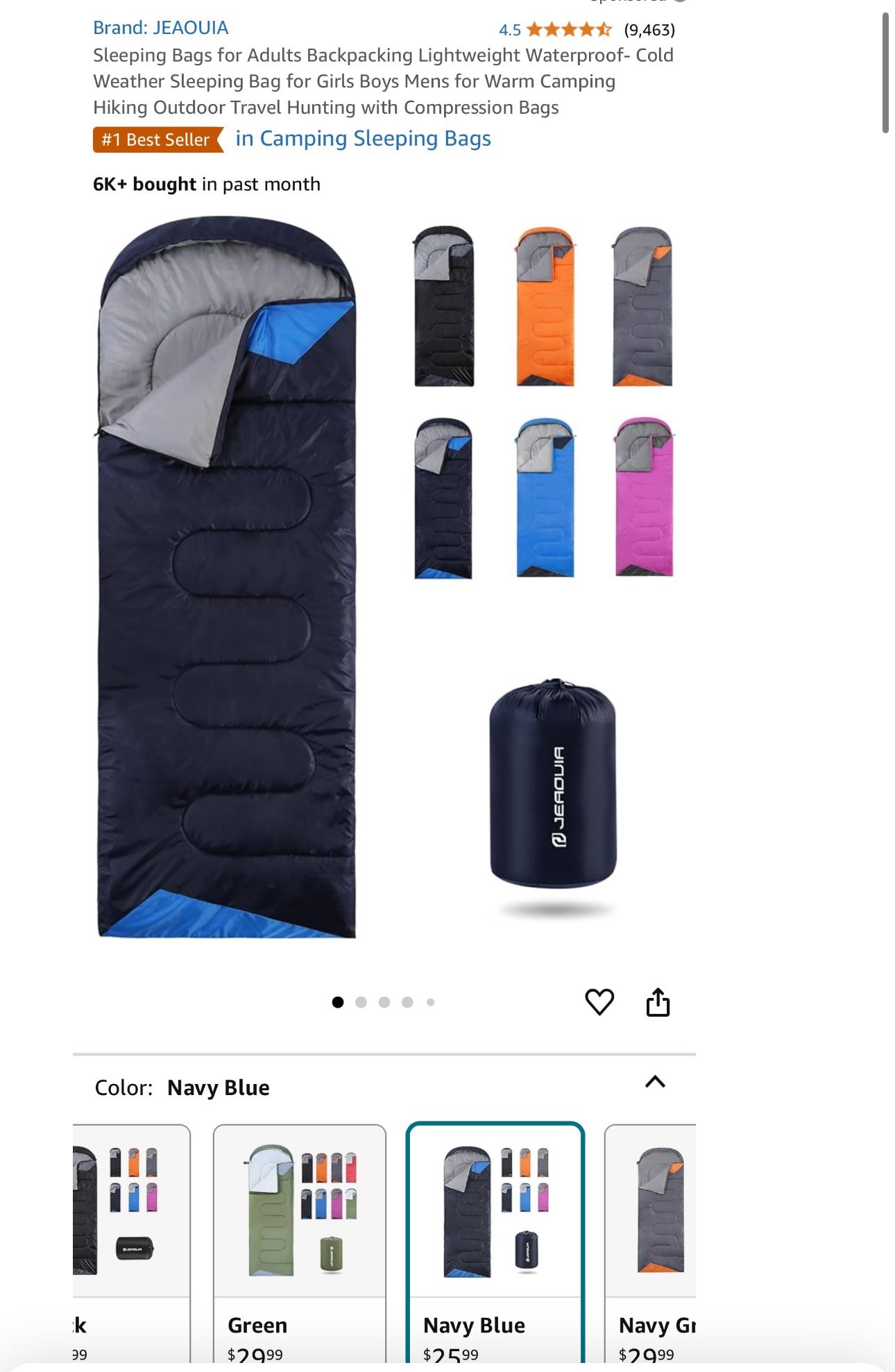 Sleeping Bag 