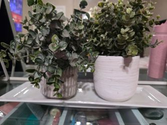 Fake Plants
