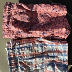 4t Swim Trunks 