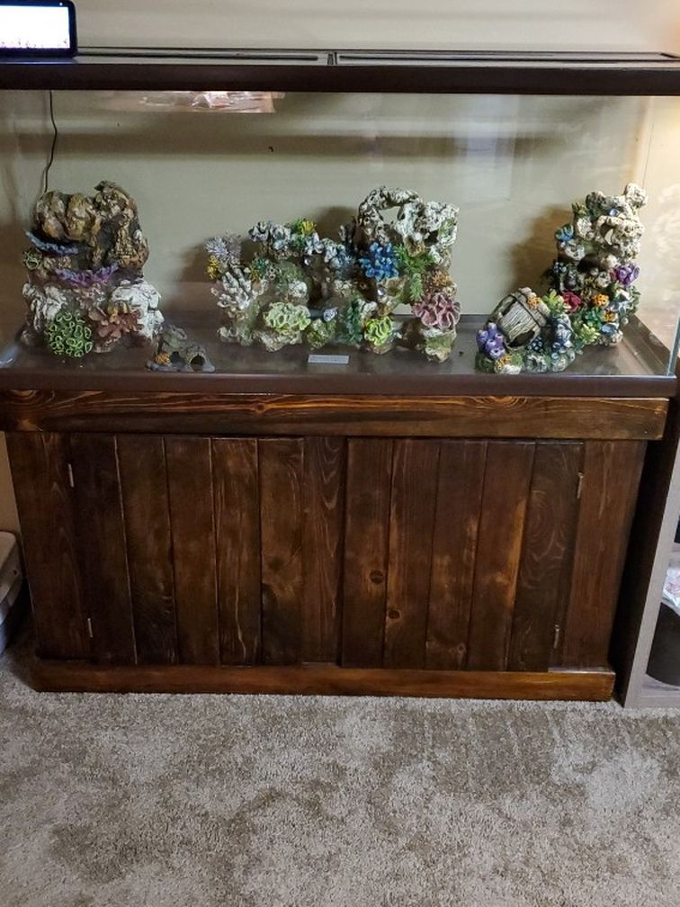 Fish tank and accessories 
