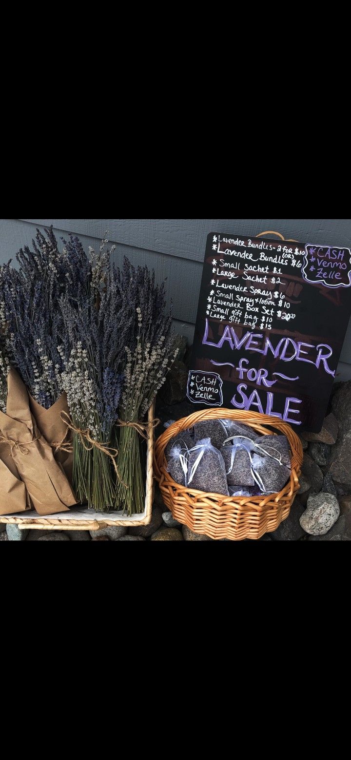 Lavender