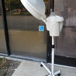 Hair Steamer