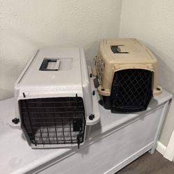 Cat/Small Dog Carrier