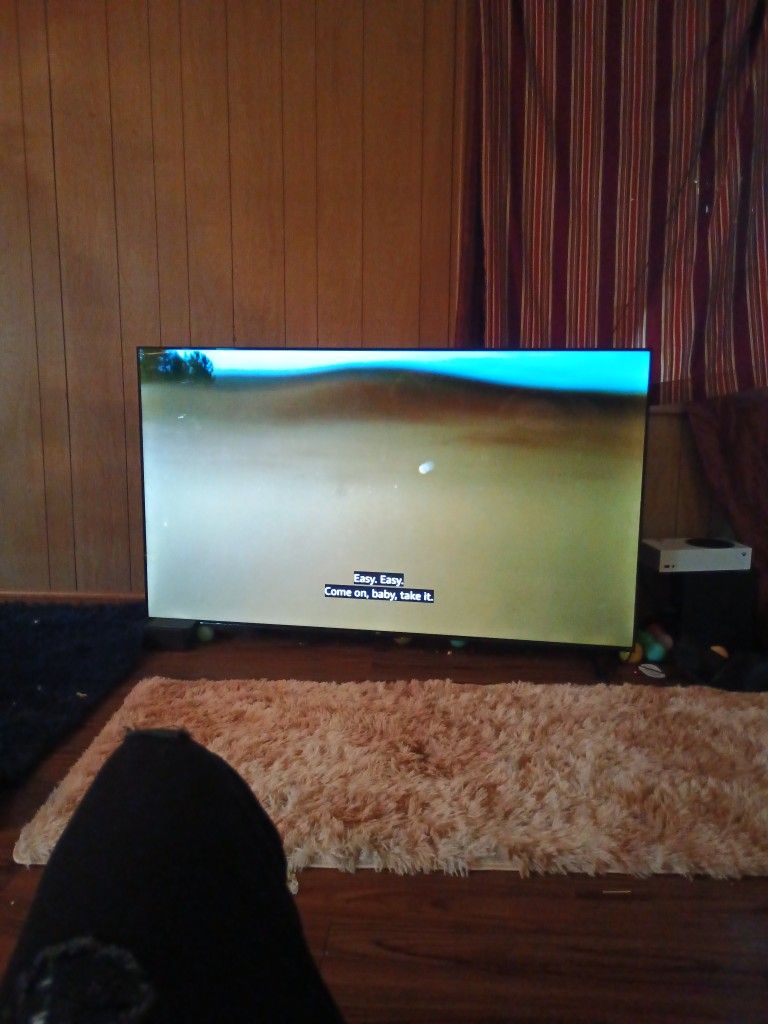 65 Inch TCL TV