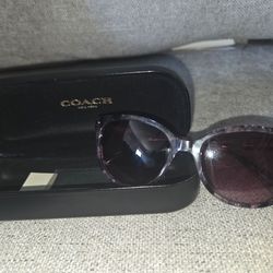 BRAND NEW!!!Coach Summer Stylish Sunglasses