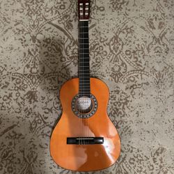 Acoustic Guitar 