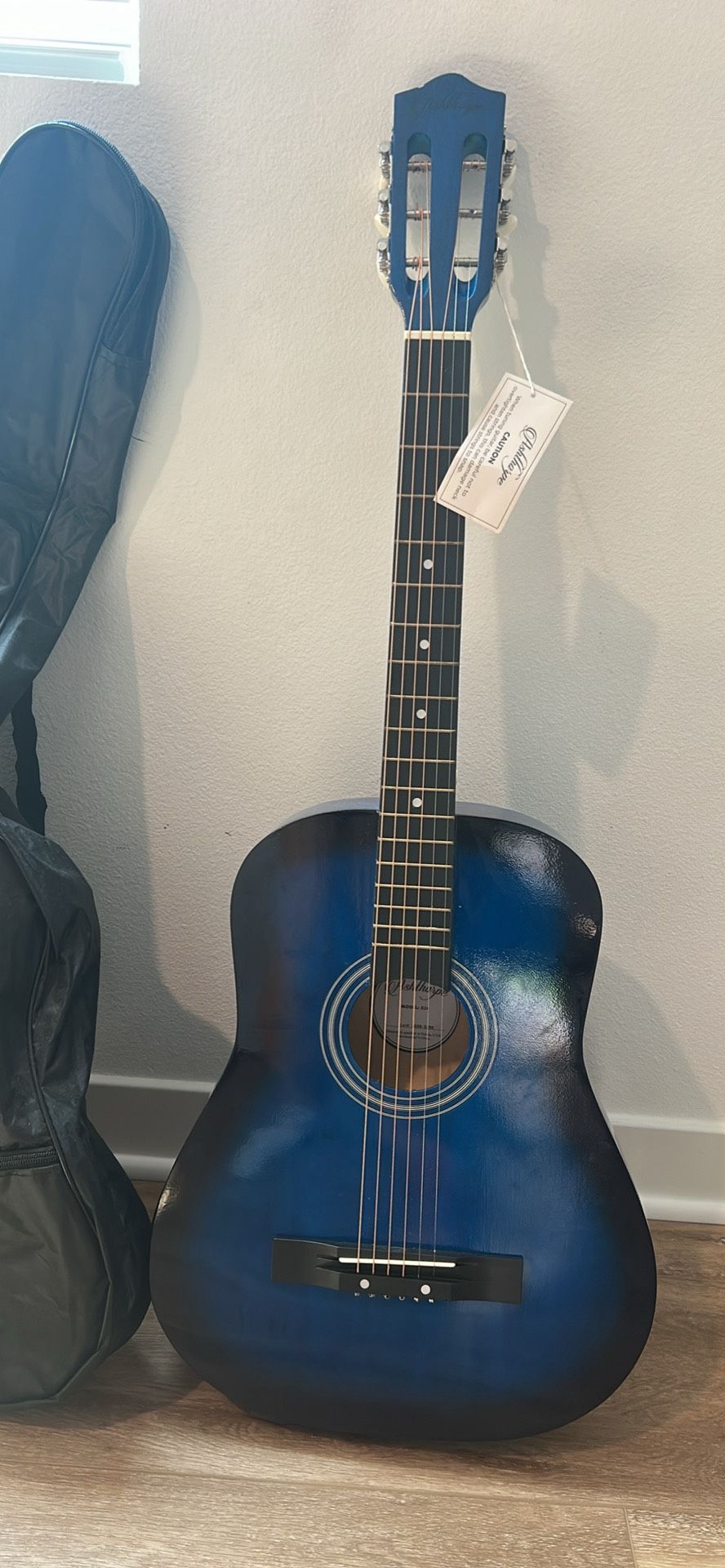 Ashthorpe B24 Acoustic Guitar – New with Tag + Case