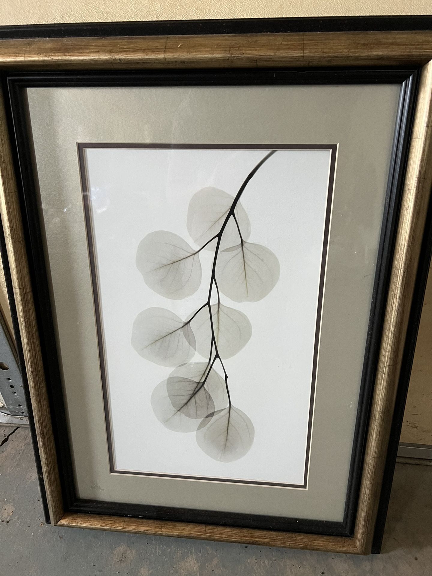 Framed Wall Art