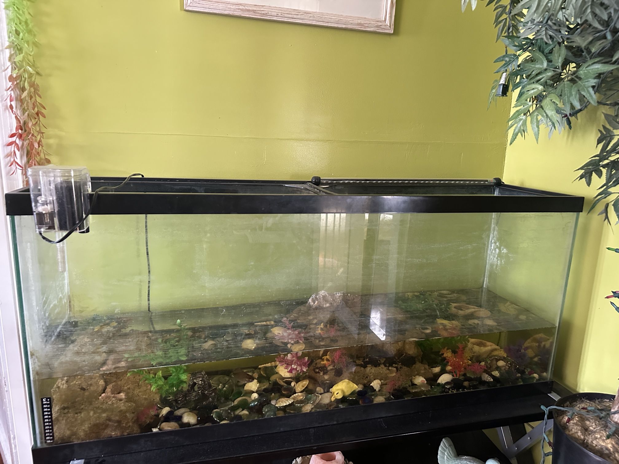 Fish Tank (AQUARIUM )