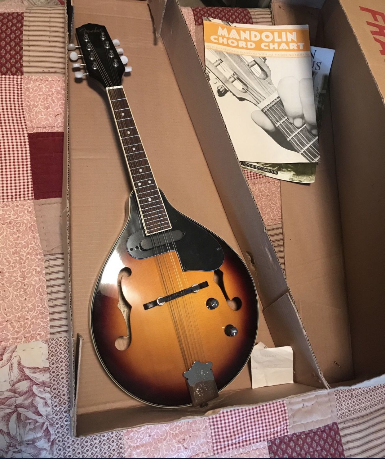 Mandolin - Nice