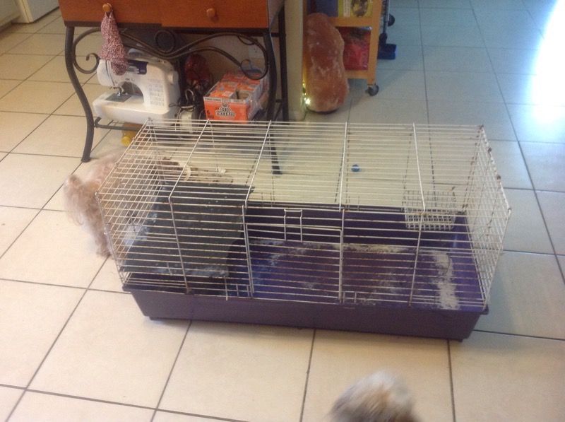 Pet cage